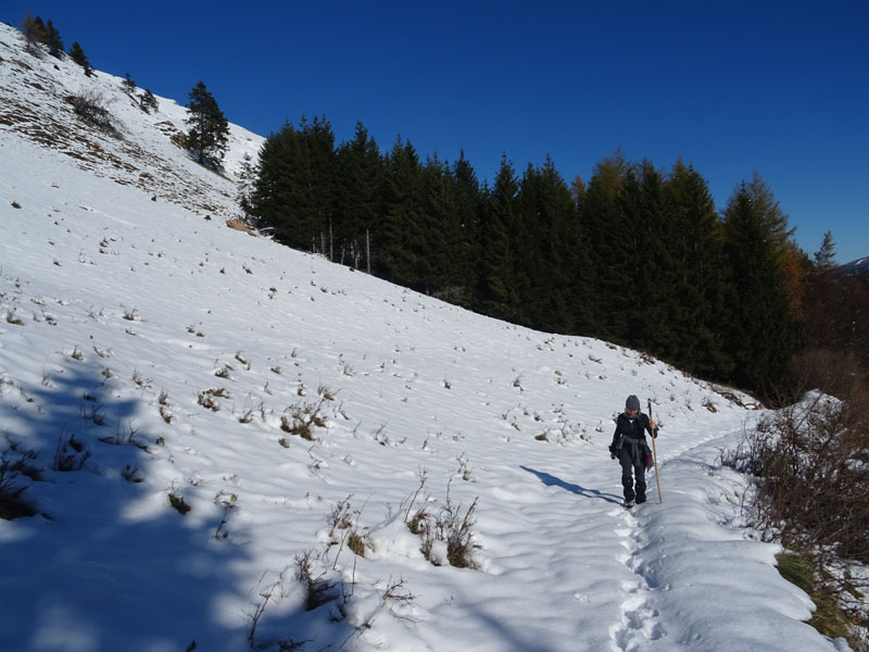 prime escursioni sulla neve....autunno  2019